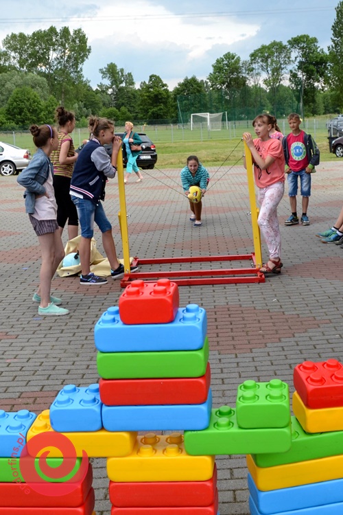 zabawa w wielkie wściegłe ptaki