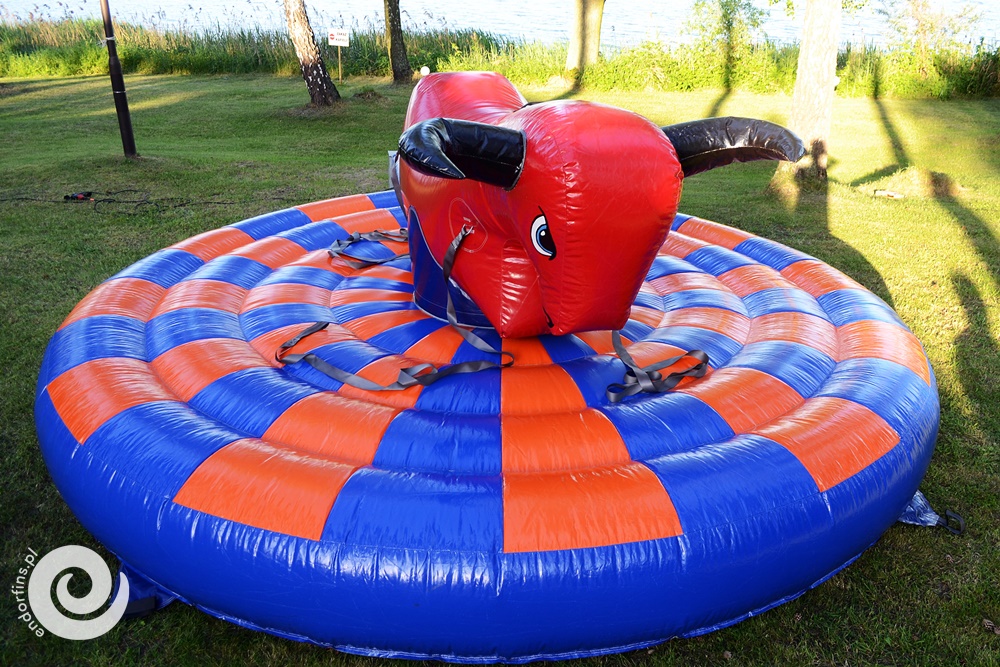 dmuchany byk rodeo konin